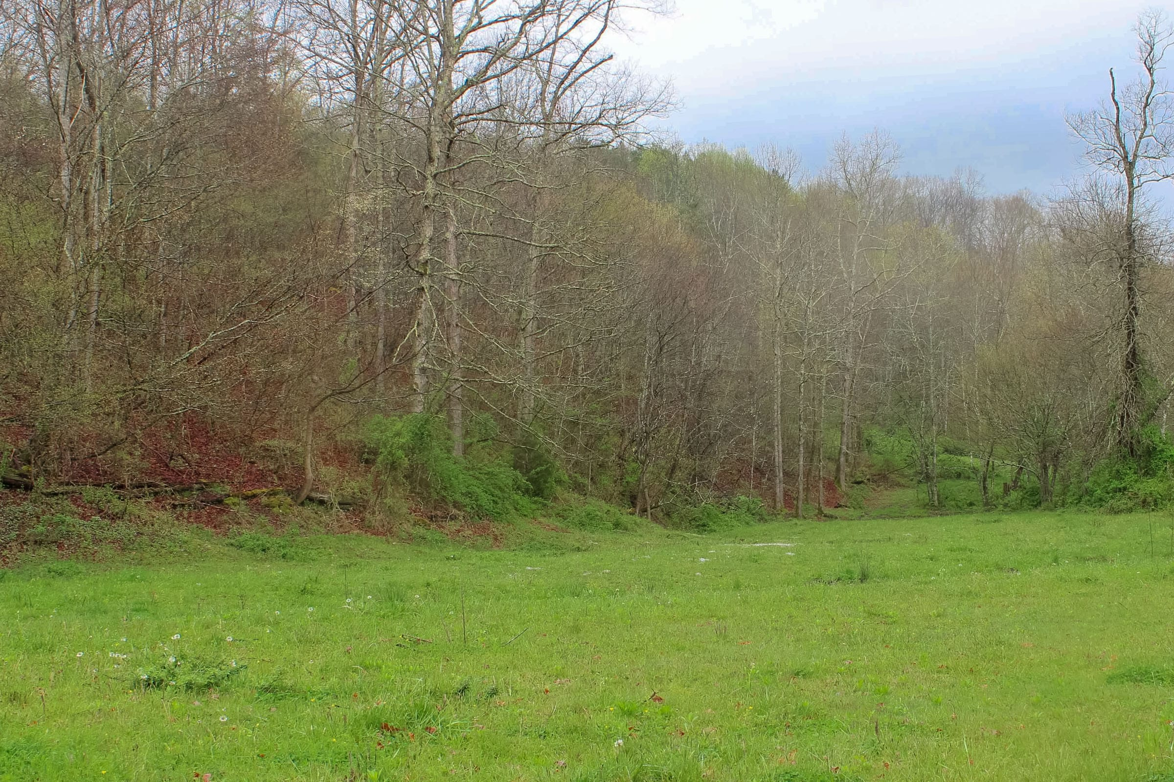 Tract 15 at Serenity Creek in Laurel County, Kentucky
