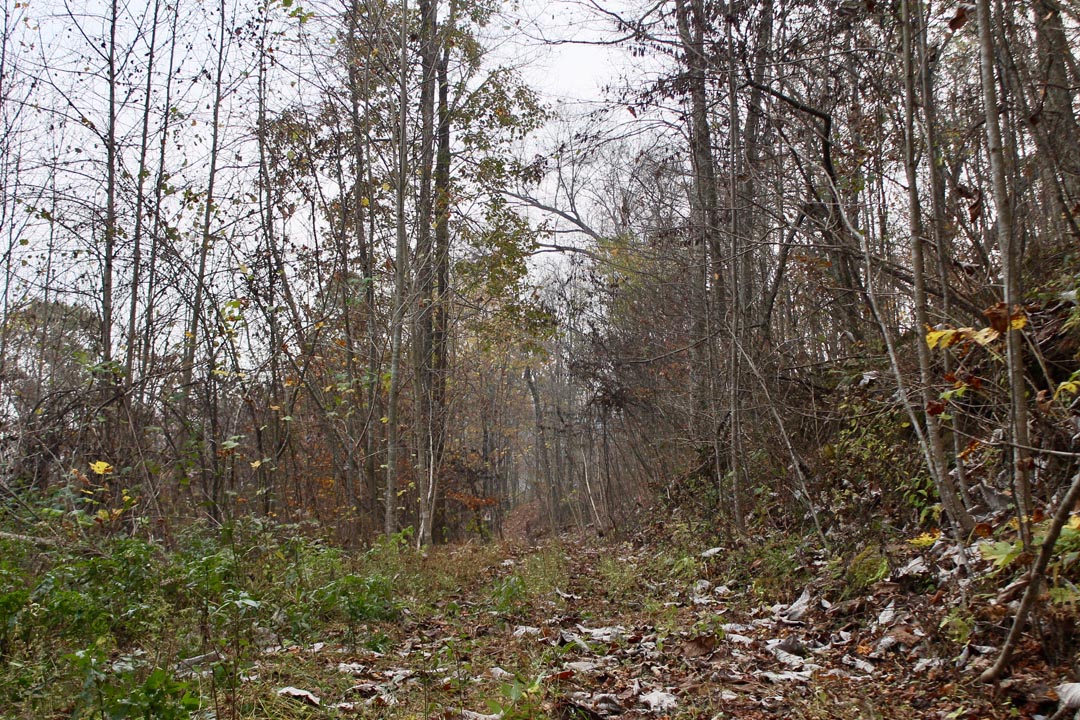 Autumn Ridge Â· Tract 12