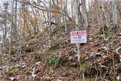 property photo for Autumn Ridge Tract 12, 16.71 acres for sale in Leslie County, Kentucky
