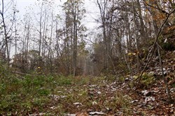 property photo for Autumn Ridge Tract 12, 16.71 acres for sale in Leslie County, Kentucky