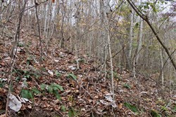 property photo for Autumn Ridge Tract 12, 16.71 acres for sale in Leslie County, Kentucky
