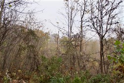 property photo for Autumn Ridge Tract 12, 16.71 acres for sale in Leslie County, Kentucky