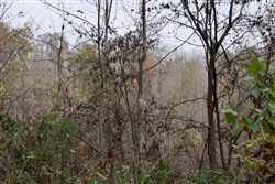 property photo for Autumn Ridge Tract 12, 16.71 acres for sale in Leslie County, Kentucky