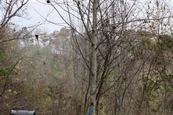 property photo for Autumn Ridge Tract 12, 16.71 acres for sale in Leslie County, Kentucky