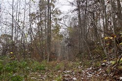 property photo for Autumn Ridge Tract 12, 16.71 acres for sale in Leslie County, Kentucky
