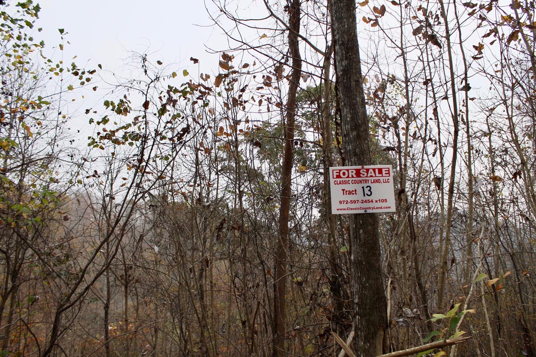 Autumn Ridge Â· Tract 13