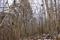 property photo for Autumn Ridge Tract 13, 12.71 acres for sale in Leslie County, Kentucky