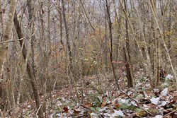 property photo for Autumn Ridge Tract 13, 12.71 acres for sale in Leslie County, Kentucky