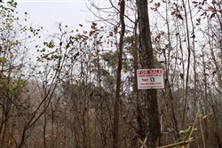 property photo for Autumn Ridge Tract 13, 12.71 acres for sale in Leslie County, Kentucky