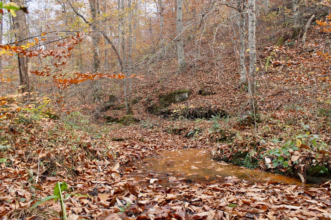 Tract 17 at Autumn Ridge in Leslie County, Kentucky