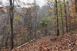 property photo for Autumn Ridge Tract 18, 16.88 acres for sale in Leslie County, Kentucky