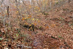 property photo for Autumn Ridge Tract 18, 16.88 acres for sale in Leslie County, Kentucky