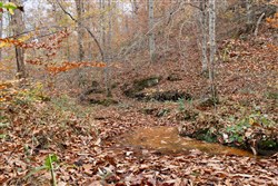 property photo for Autumn Ridge Tract 18, 16.88 acres for sale in Leslie County, Kentucky