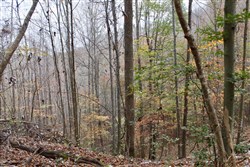 property photo for Autumn Ridge Tract 18, 16.88 acres for sale in Leslie County, Kentucky