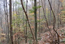 property photo for Autumn Ridge Tract 18, 16.88 acres for sale in Leslie County, Kentucky