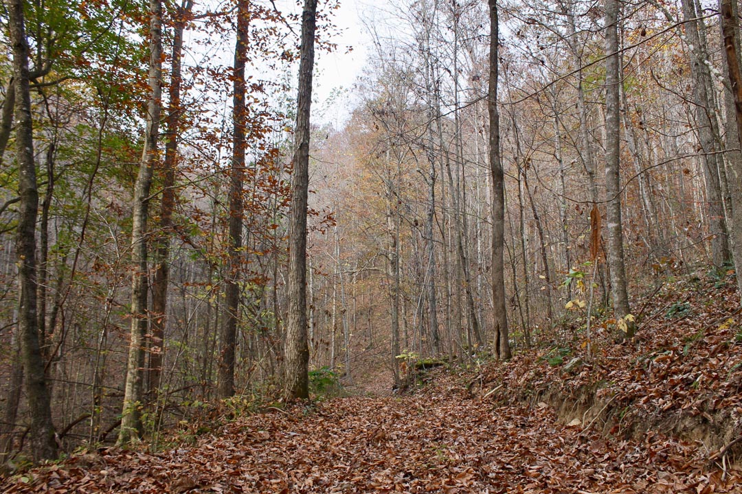 Autumn Ridge Â· Tract 8