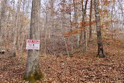 property photo for Autumn Ridge Tract 8, 7.21 acres for sale in Leslie County, Kentucky