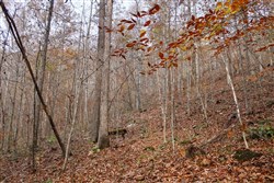 property photo for Autumn Ridge Tract 8, 7.21 acres for sale in Leslie County, Kentucky
