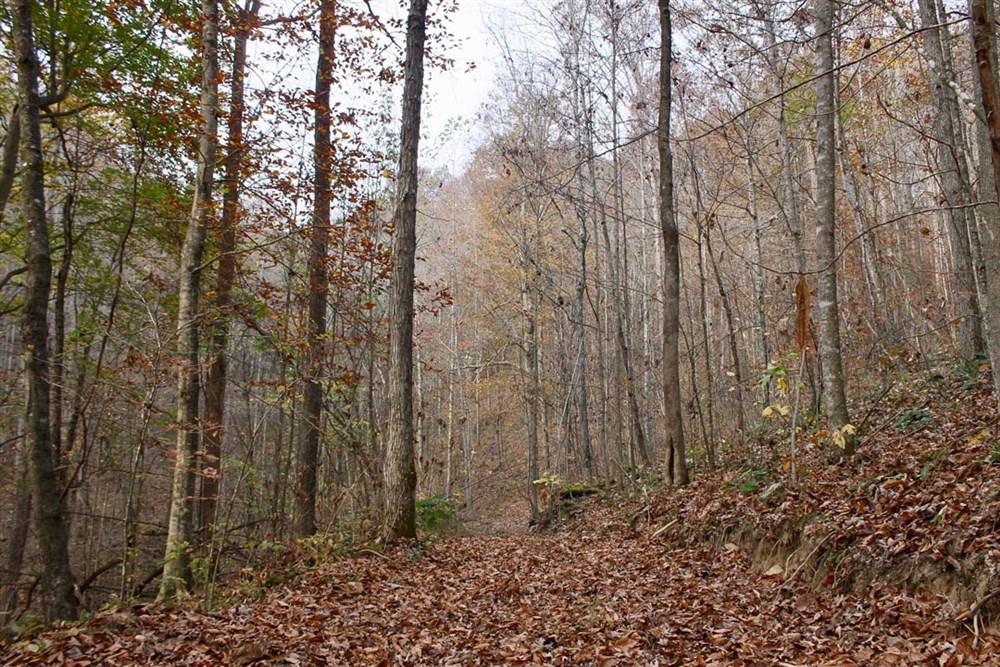 7.21 acre rural land tract for sale at Autumn Ridge Tract 8 in Leslie County, Kentucky