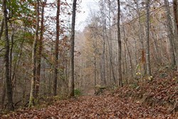 property photo for Autumn Ridge Tract 8, 7.21 acres for sale in Leslie County, Kentucky