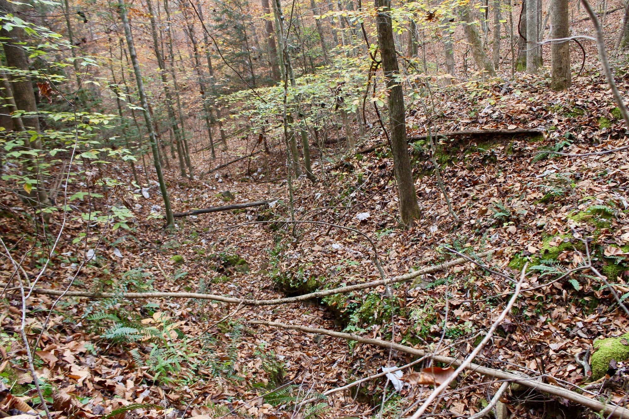 Tract 9 at Autumn Ridge in Leslie County, Kentucky
