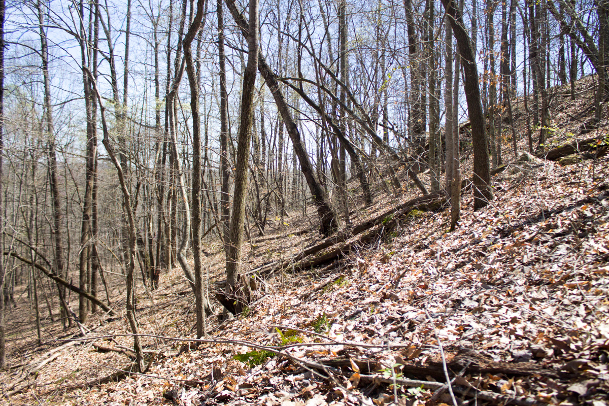 Tract 15 at Chestnut Oak Ridge in Rockcastle County, Kentucky