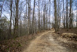 property photo for Chestnut Oak Ridge Tract 18, 10.54 acres for sale in Rockcastle County, Kentucky