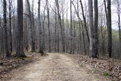 property photo for Chestnut Oak Ridge Tract 18, 10.54 acres for sale in Rockcastle County, Kentucky