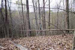 property photo for Chestnut Oak Ridge Tract 18, 10.54 acres for sale in Rockcastle County, Kentucky