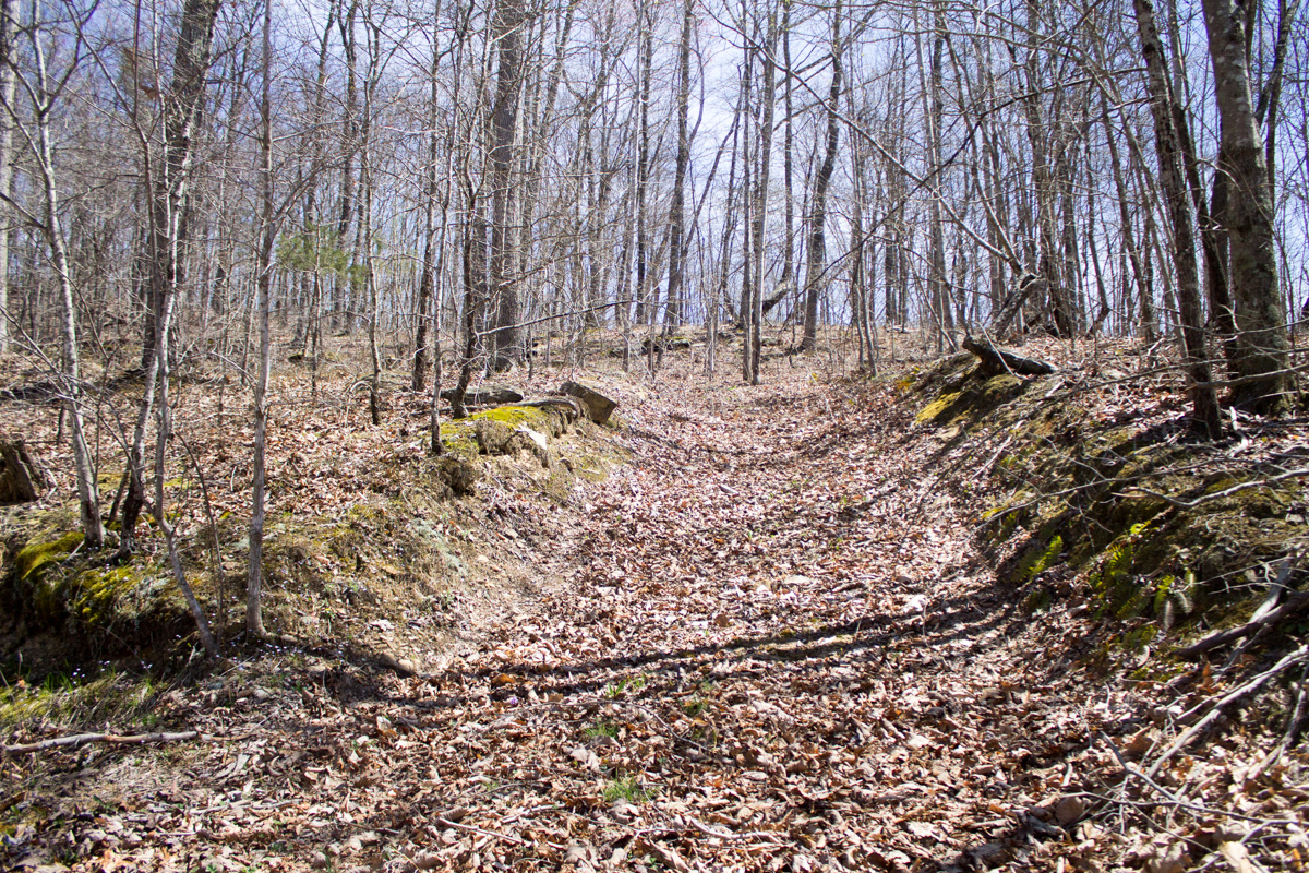 Tract 26 at Chestnut Oak Ridge in Rockcastle County, Kentucky