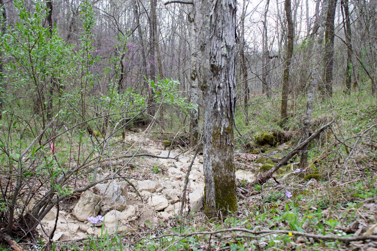 Tract 5 at Chestnut Oak Ridge in Rockcastle County, Kentucky