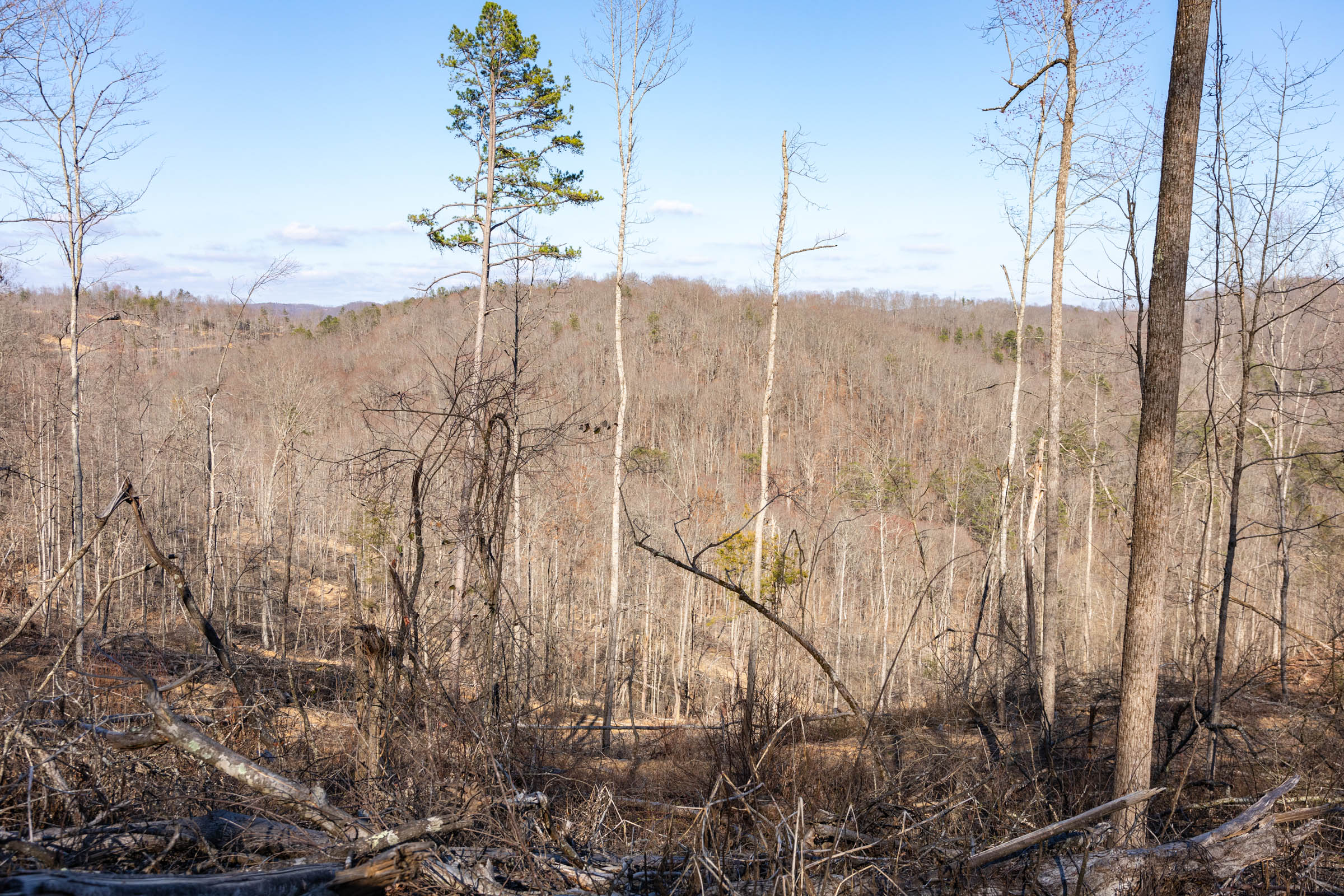 Tract 16 at Creek Hollow Phase I in Rockcastle County, Kentucky