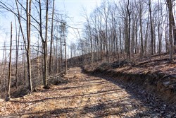 property photo for Creek Hollow Phase I Tract 18, 5.47 acres for sale in Rockcastle County, Kentucky