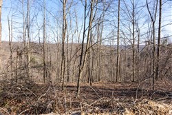 property photo for Creek Hollow Phase I Tract 18, 5.47 acres for sale in Rockcastle County, Kentucky