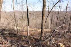 property photo for Creek Hollow Phase I Tract 18, 5.47 acres for sale in Rockcastle County, Kentucky