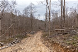 property photo for Creek Hollow Phase I Tract 18, 5.47 acres for sale in Rockcastle County, Kentucky