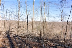 property photo for Creek Hollow Phase I Tract 18, 5.47 acres for sale in Rockcastle County, Kentucky