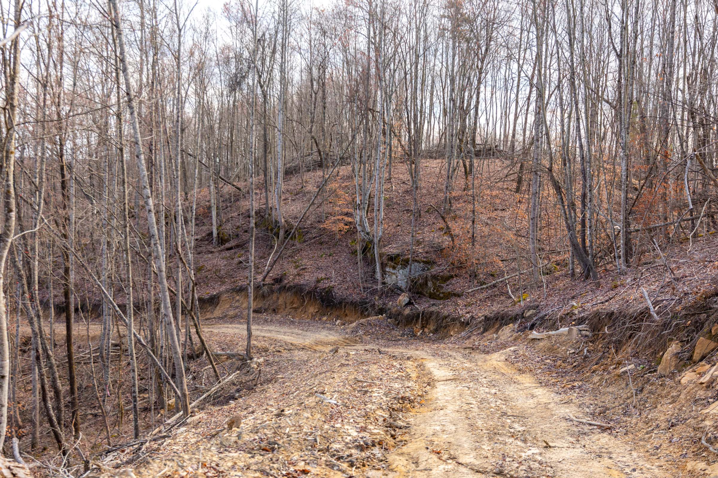 Tract 24 at Creek Hollow Phase I in Rockcastle County, Kentucky