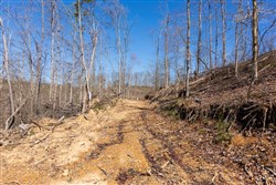 property photo for Creek Hollow Phase I Tract 34, 5.76 acres for sale in Rockcastle County, Kentucky