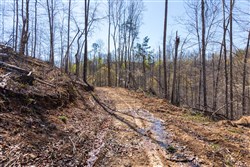 property photo for Creek Hollow Phase I Tract 34, 5.76 acres for sale in Rockcastle County, Kentucky