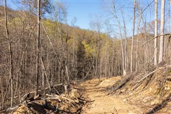 property photo for Creek Hollow Phase I Tract 34, 5.76 acres for sale in Rockcastle County, Kentucky