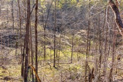 property photo for Creek Hollow Phase I Tract 34, 5.76 acres for sale in Rockcastle County, Kentucky