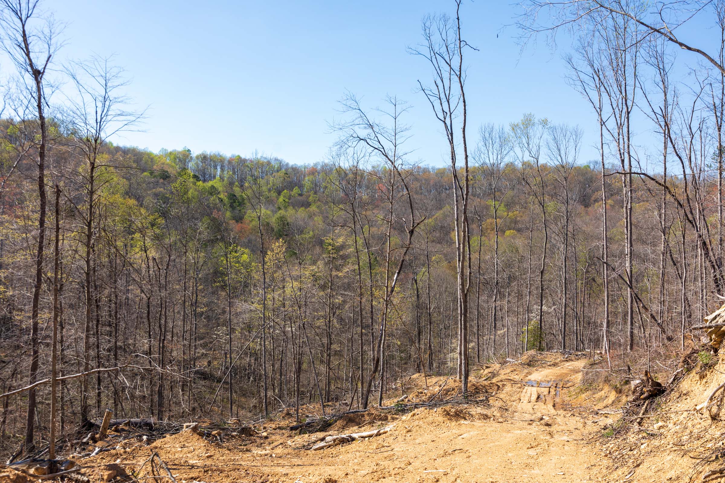 Tract 39 at Creek Hollow Phase I in Rockcastle County, Kentucky