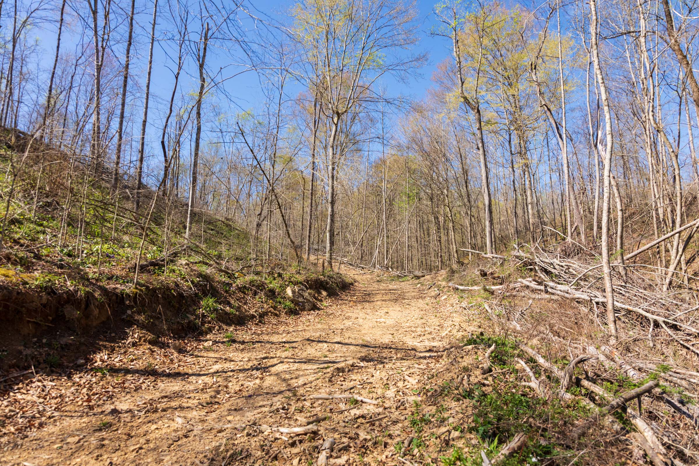 Tract 48 at Creek Hollow Phase I in Rockcastle County, Kentucky