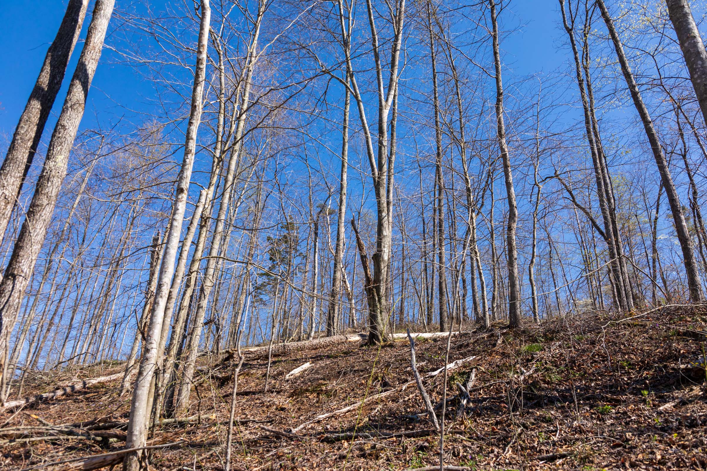 Tract 53 at Creek Hollow Phase I in Rockcastle County, Kentucky
