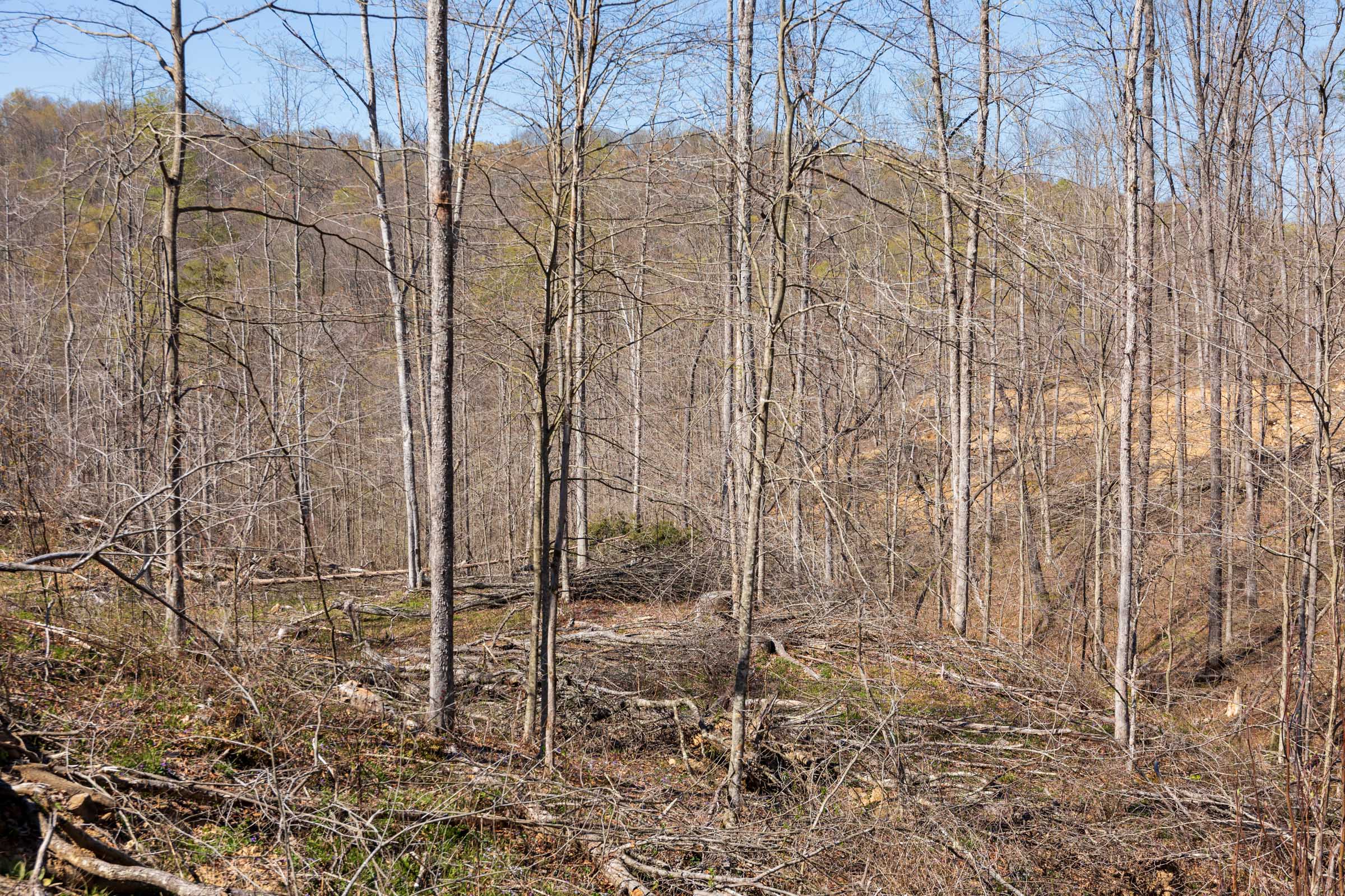 Tract 54 at Creek Hollow Phase I in Rockcastle County, Kentucky