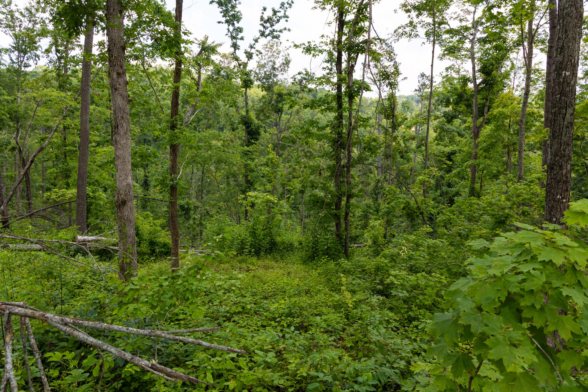Tract 57 at Creek Hollow Phase II in Rockcastle County, Kentucky
