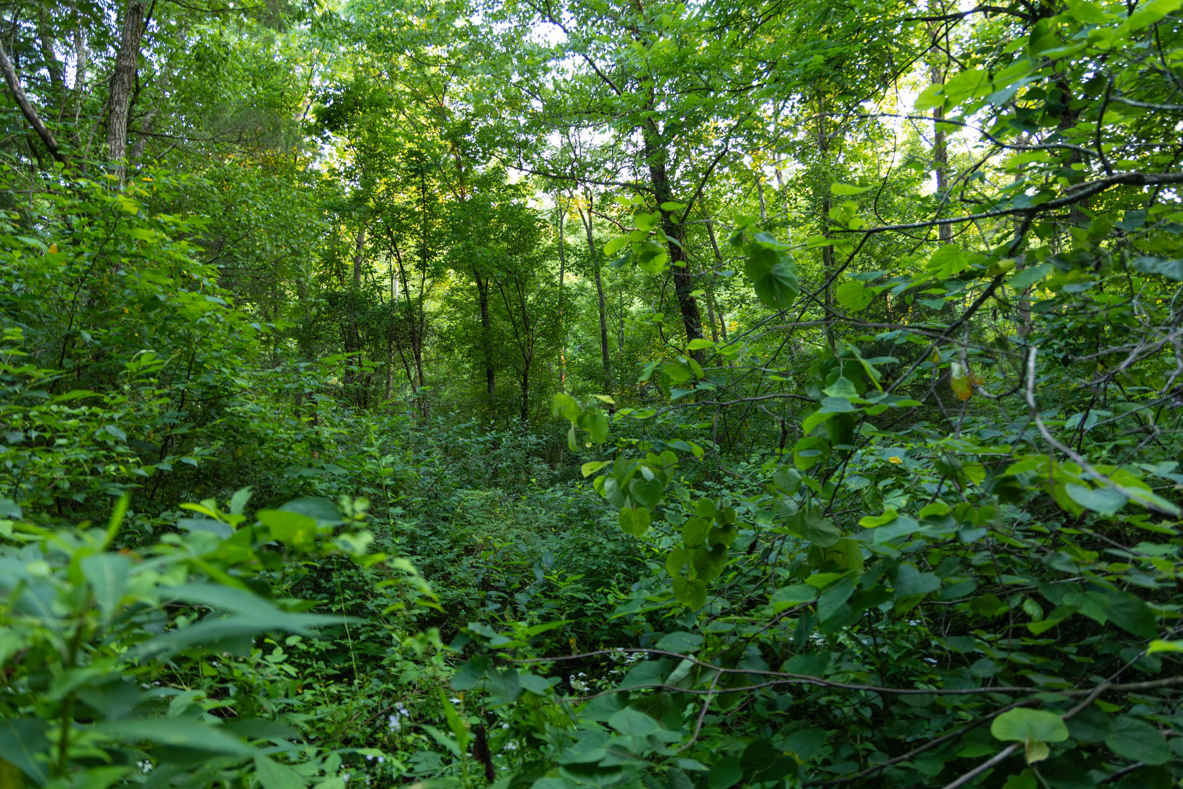 Tract 64 at Creek Hollow Phase II in Rockcastle County, Kentucky