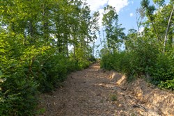 property photo for Creek Hollow Phase II Tract 82, 8.82 acres for sale in Rockcastle County, Kentucky