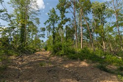 property photo for Creek Hollow Phase II Tract 82, 8.82 acres for sale in Rockcastle County, Kentucky
